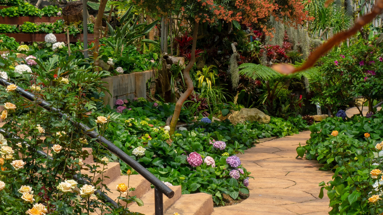 Diseño de jardines Benissa