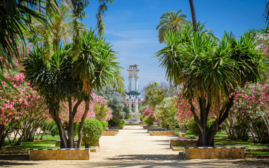 Tu Oasis Verde en Alicante: La Guía Completa de Jardinería Profesional y Servicios de Paisajismo