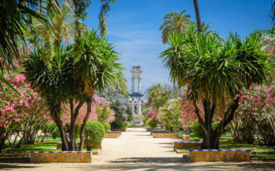 Tu Oasis Verde en Alicante: La Guía Completa de Jardinería Profesional y Servicios de Paisajismo