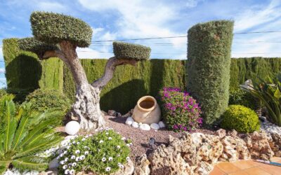 Los Secretos del Diseño de Jardines en Alicante: Guía para un Oasis Mediterráneo de Bajo Mantenimiento