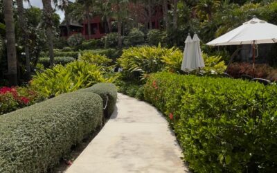 Transforma tu Exterior: La Guía Definitiva de Mobiliario y Equipamiento para Jardines en Alicante