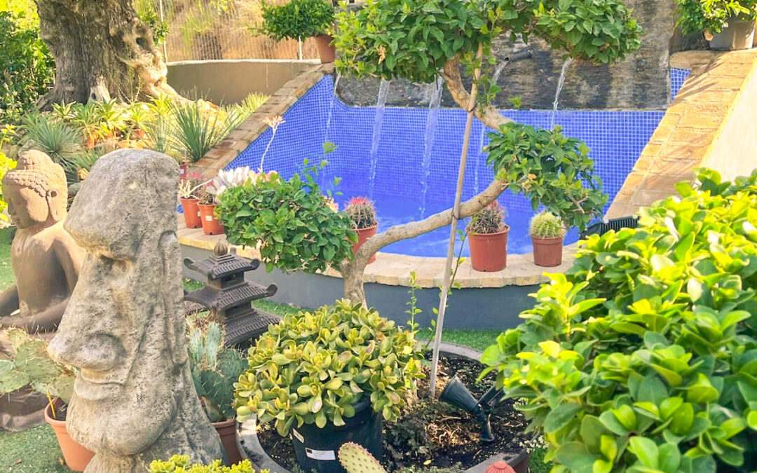 Servicios de Construcción en Alicante: Las 7 Claves Definitivas que Definen un Jardín de Lujo