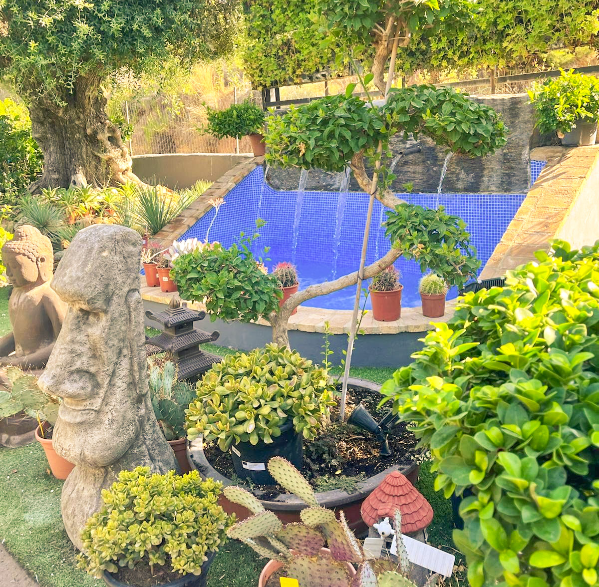 Exclusivo proyecto de diseño y construcción de un jardín de lujo en Alicante por Luxury Garden Center.