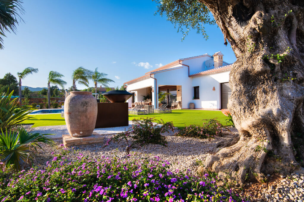 Jardín mediterráneo creado con una selección de plantas para el sol en Alicante