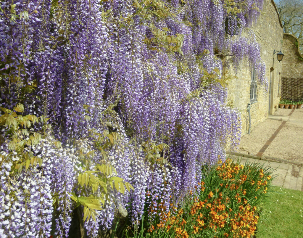 Jardín vertical ubicado en Alicante, solución ideal para decorar sin ocupar espacio junto a mobiliario como las Sillas de Exterior Apilables.
