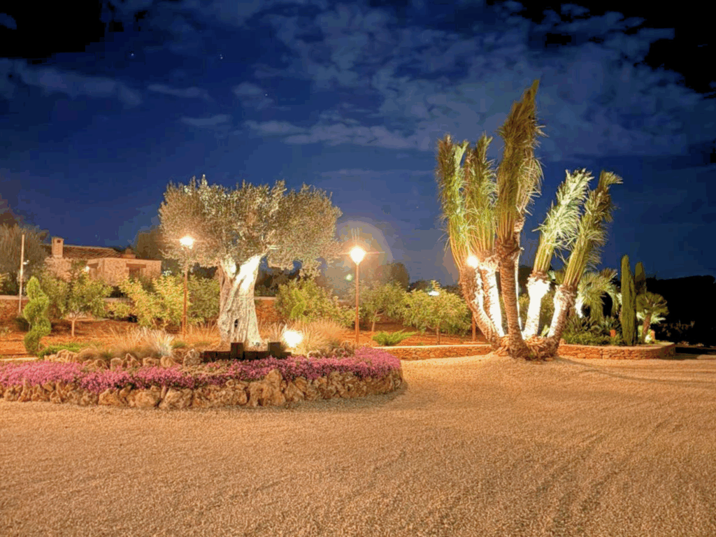Iluminación nocturna destacando un olivo y un camino rústico, un aspecto a planificar durante el Mantenimiento de Jardines en Invierno para disfrutar del espacio todo el año.
