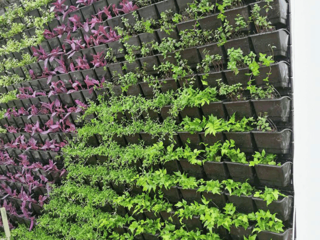 Jardín vertical con variedad de plantas, una innovadora alternativa ecológica al césped y elemento clave en el diseño de jardines modernos.
