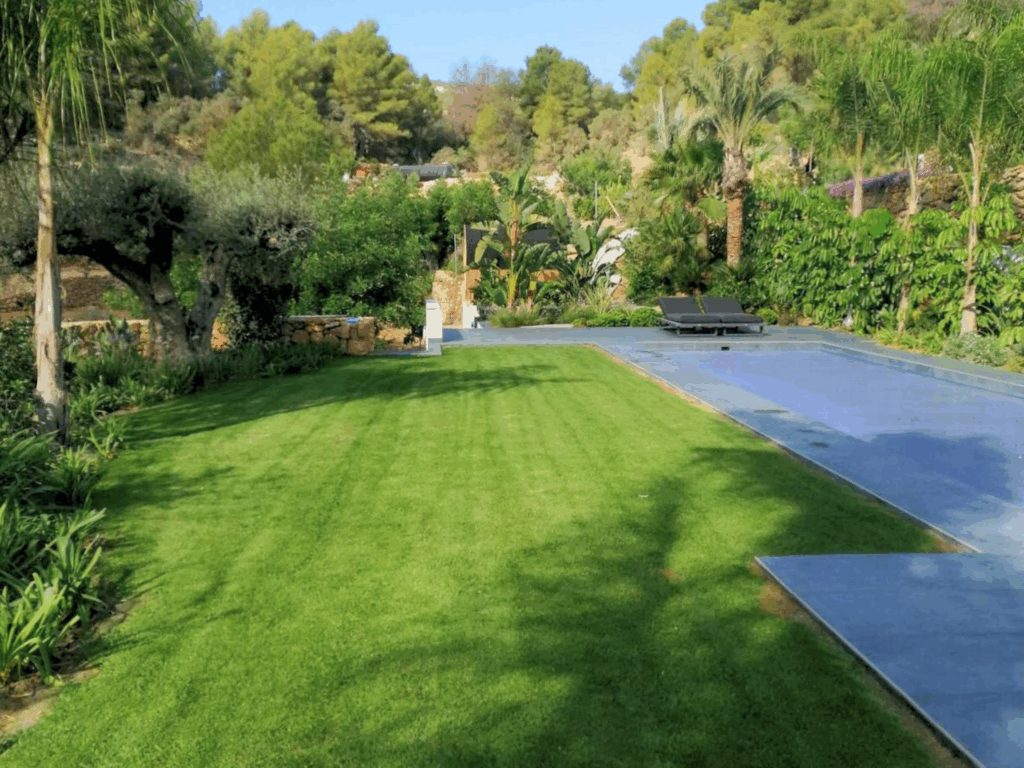 Mantenimiento de Jardines en Invierno: Detalle de la poda de invierno realizada por un jardinero experto en la Costa Blanca.