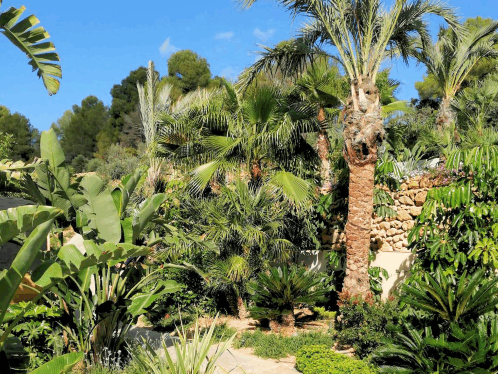 Jardín durante la temporada otoñal, ilustrando la importancia del Mantenimiento de Jardines en Invierno para preparar el espacio para la primavera.