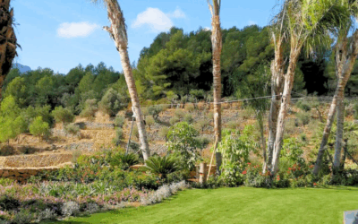 Mantenimiento de Jardines en Invierno: La Guía de Lujo para Proteger, Podar y Construir en la Costa Blanca