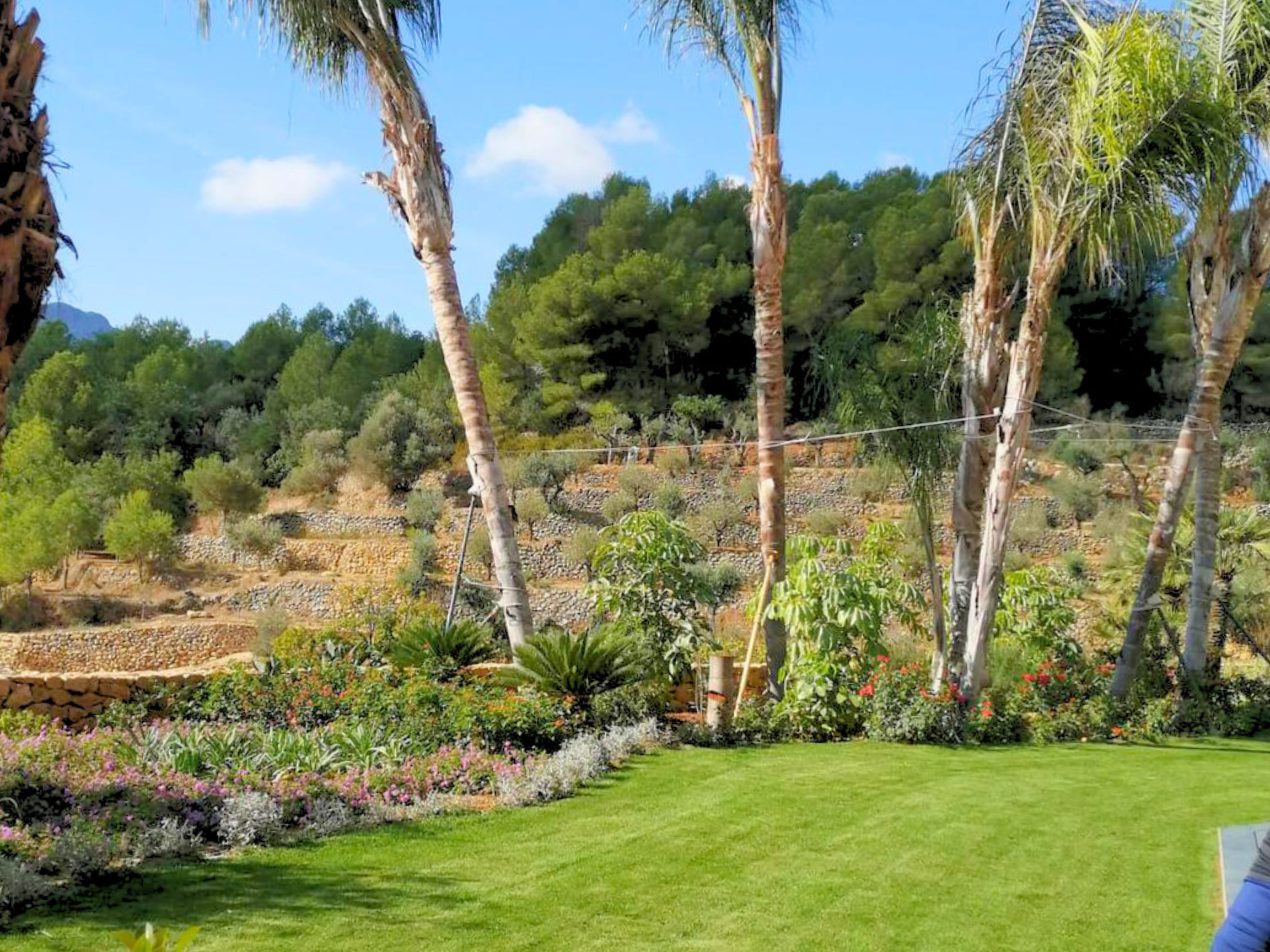 Mantenimiento de Jardines en Invierno: La Guía de Lujo para Proteger, Podar y Construir en la Costa Blanca